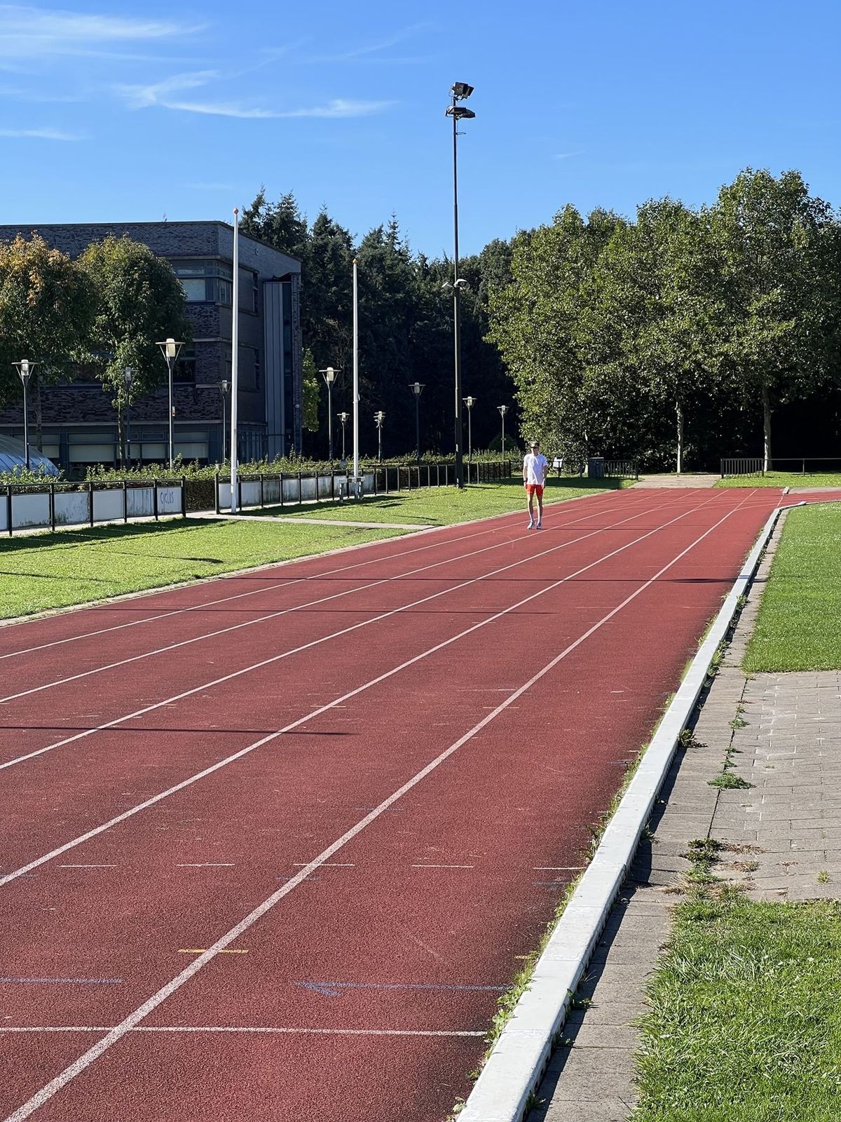 Atletiekbaan tussen de bomen